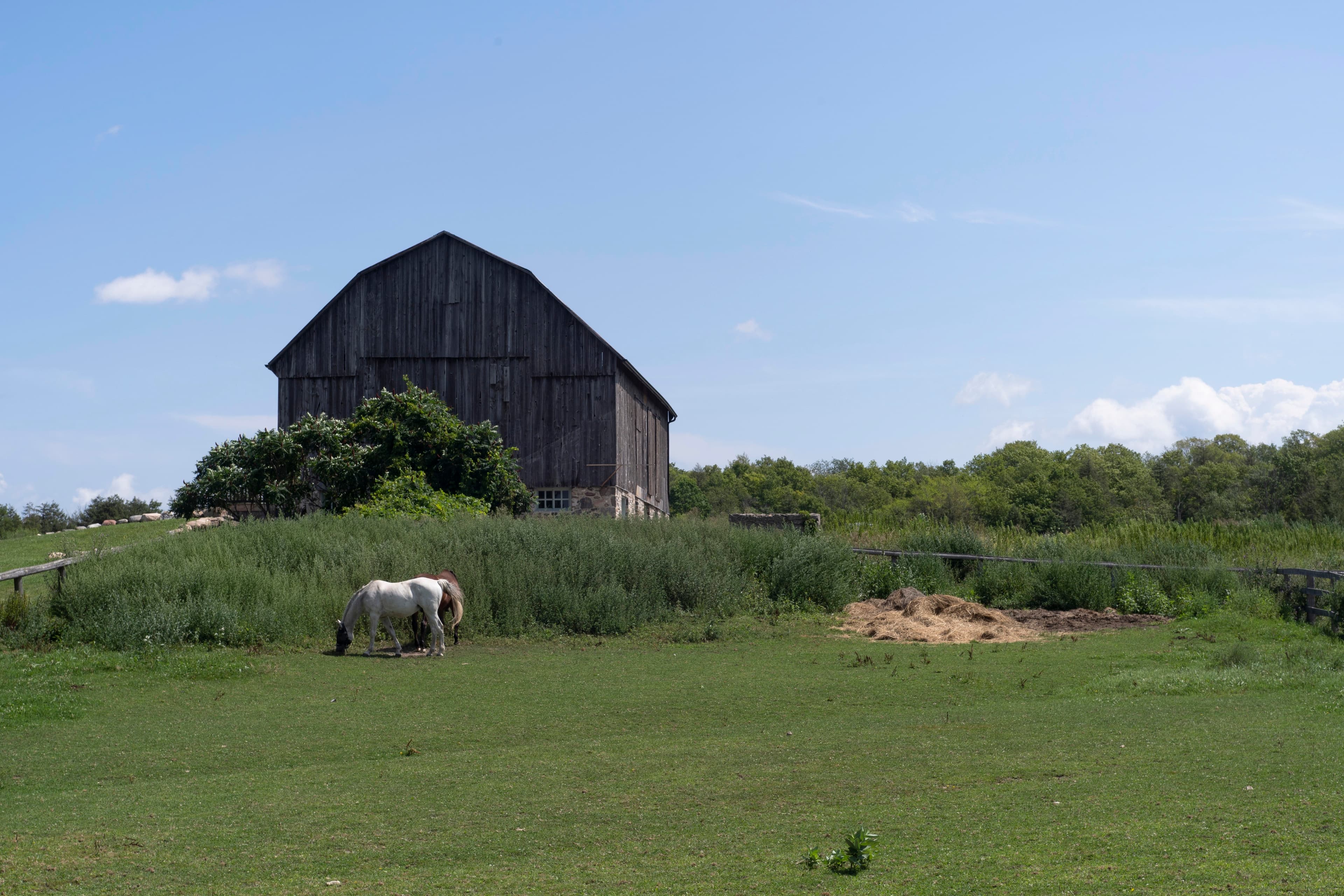 Wayfarer — A Landscape Photography Series — 01