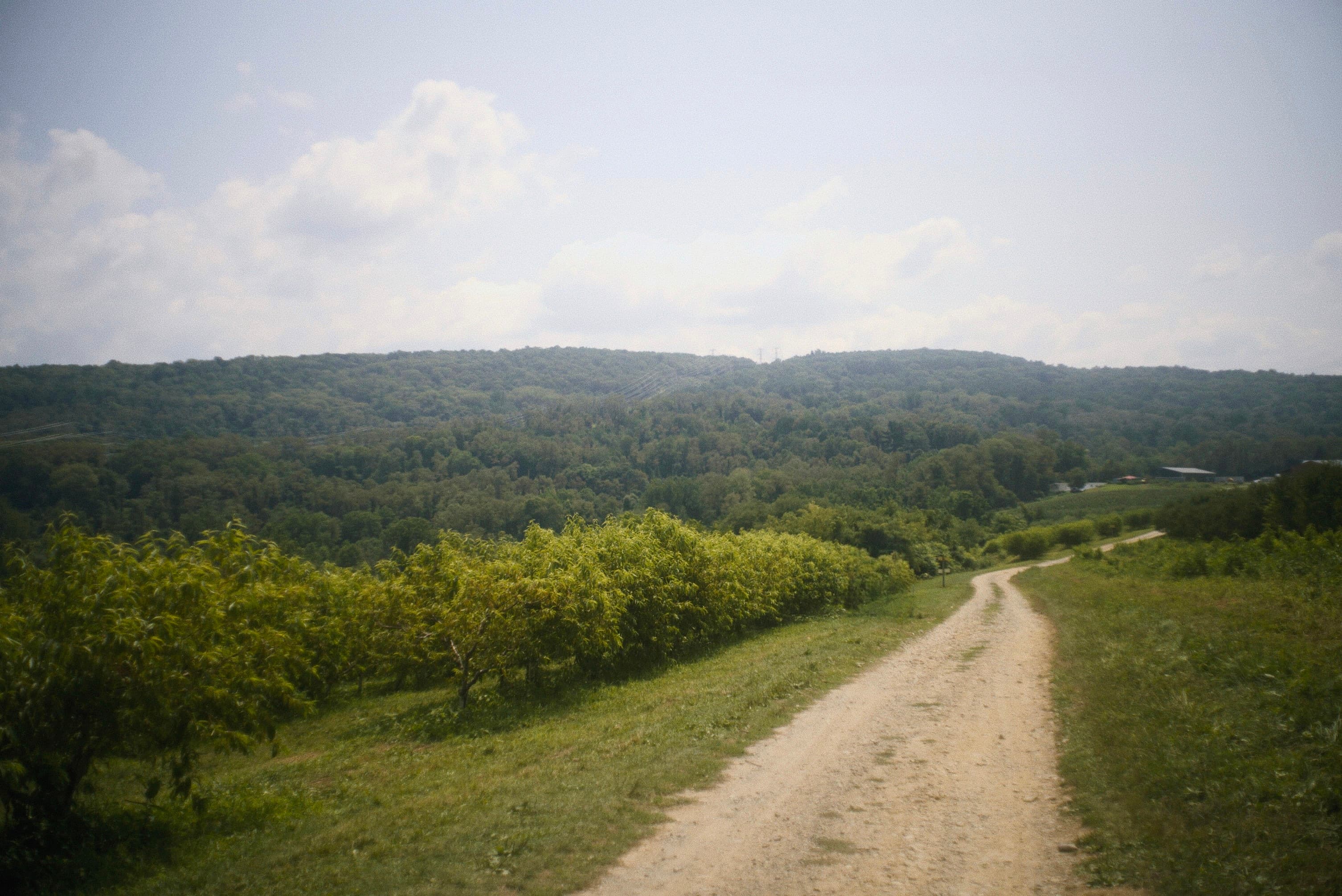 Wayfarer — A Landscape Photography Series — 03